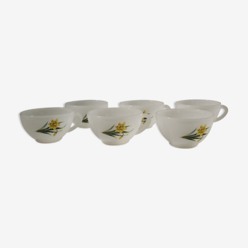 Lot 6 tasses Arcopal vintage motifs jonquilles