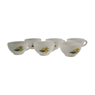 Lot 6 tasses Arcopal vintage motifs jonquilles