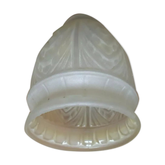 Yellow lamp tulip