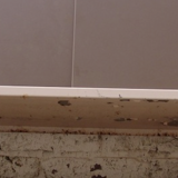 Shelf Tjerk Reijenga for Pilastro