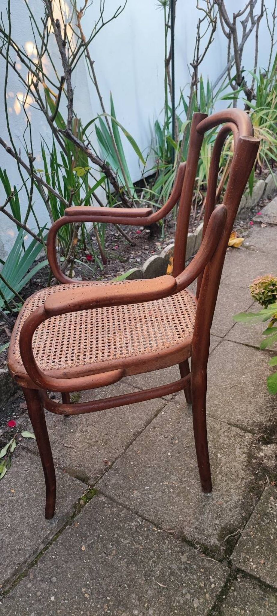 Thonet armchair no. 56