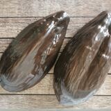 Ceramic box pod cocoa bean