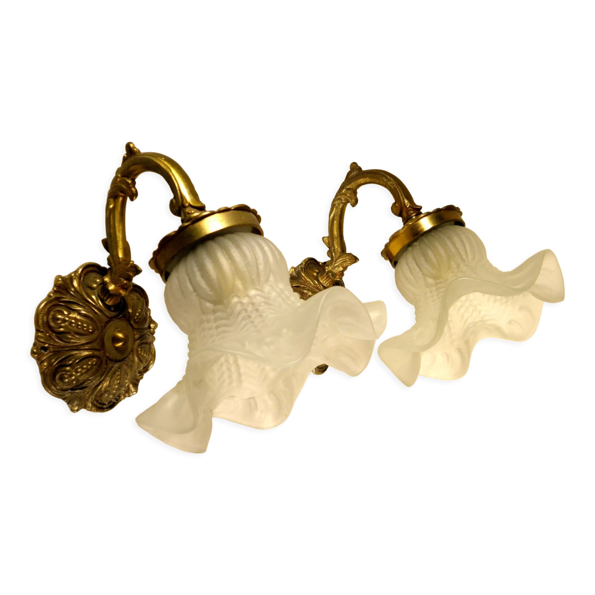 Pair of gooseneck sconces in brass and glass