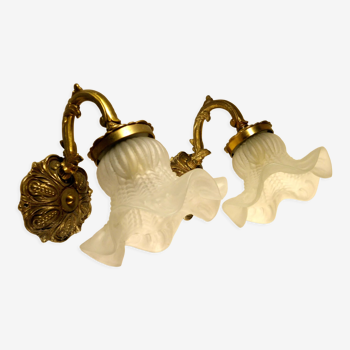 Pair of gooseneck sconces in brass and glass
