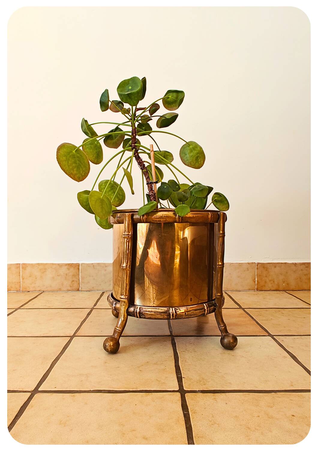 Pot de fleurs vintage en laiton faux bambou Maison Bagues