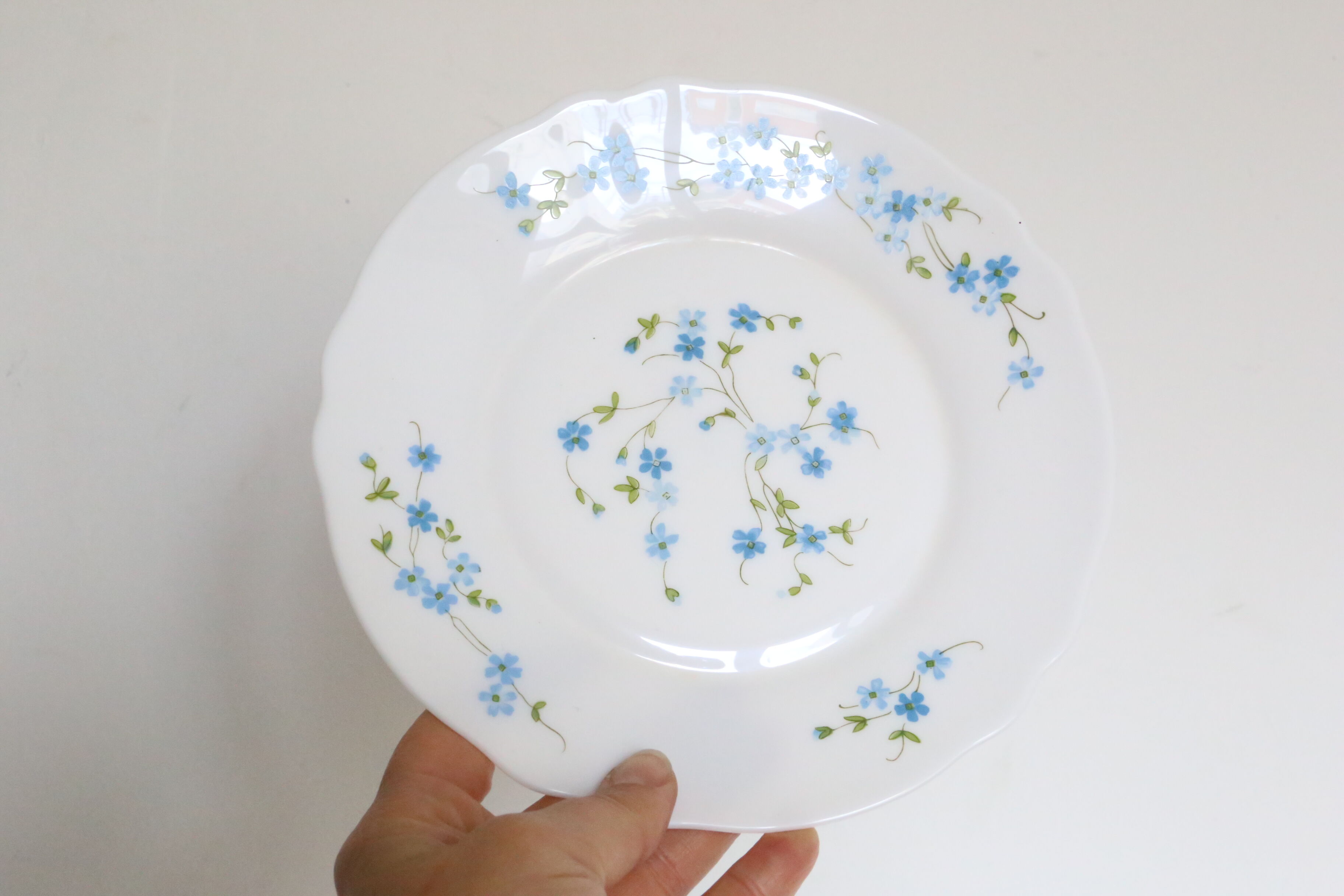 Dessert plates 6 Arcopal, Veronica pattern