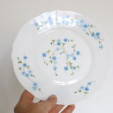 Dessert plates 6 Arcopal, Veronica pattern