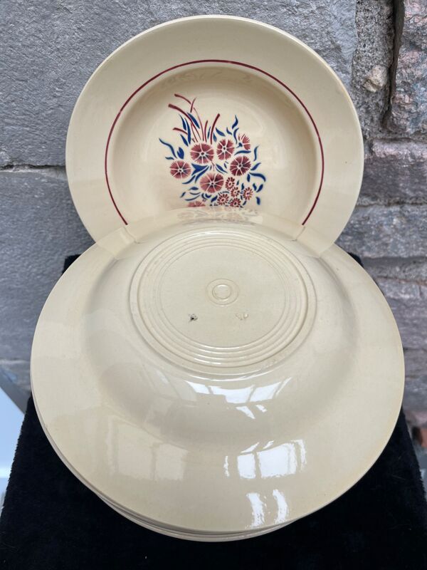 Set 12 assiettes creuses « Œillets » Badonviller
