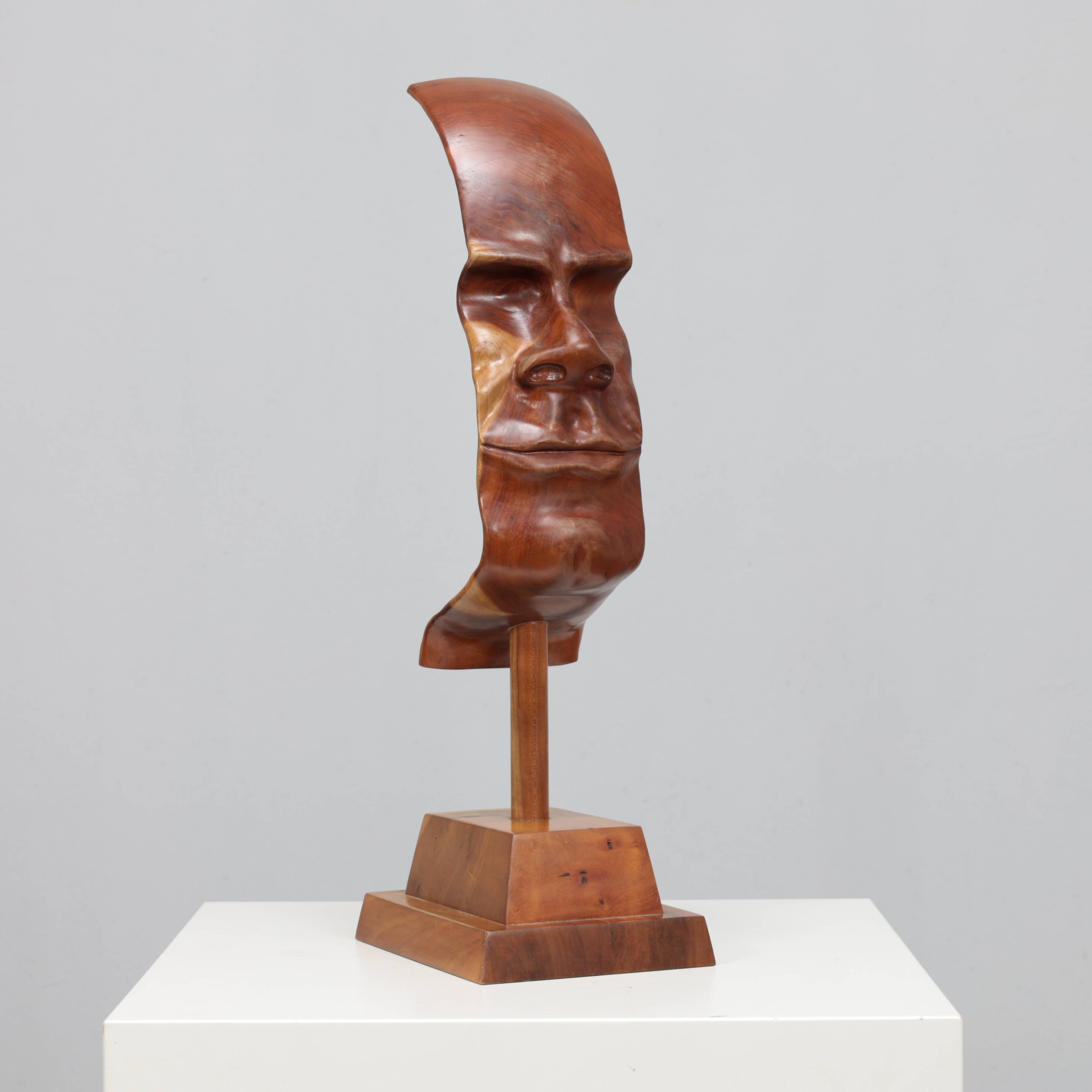 "Profile II" hand-carved 3D sculpture by Lawrence Schneider, 2007