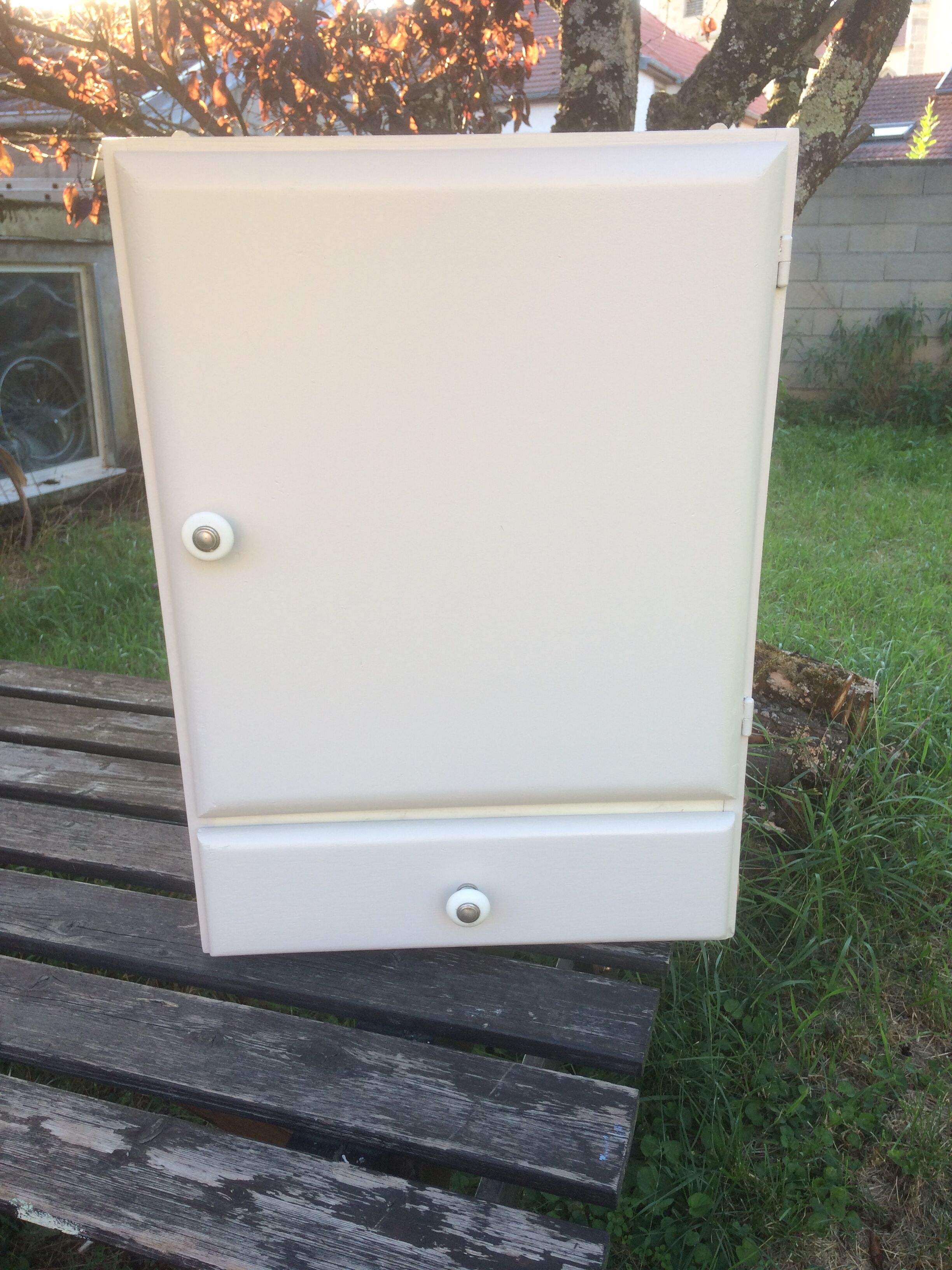 Toilet cabinet