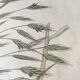 Planche herbier, Ed Londres, 1809
