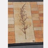 Coffee table by Roger Capron for Vallauris, 1960