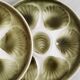 Plates Oysters Shellfish Earthenware Moulin des Loups Orchies