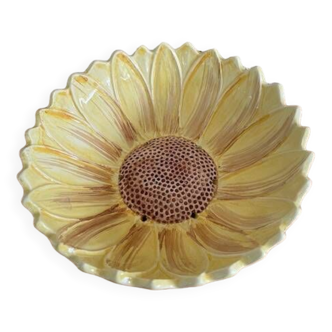 Sunflower slip drainer