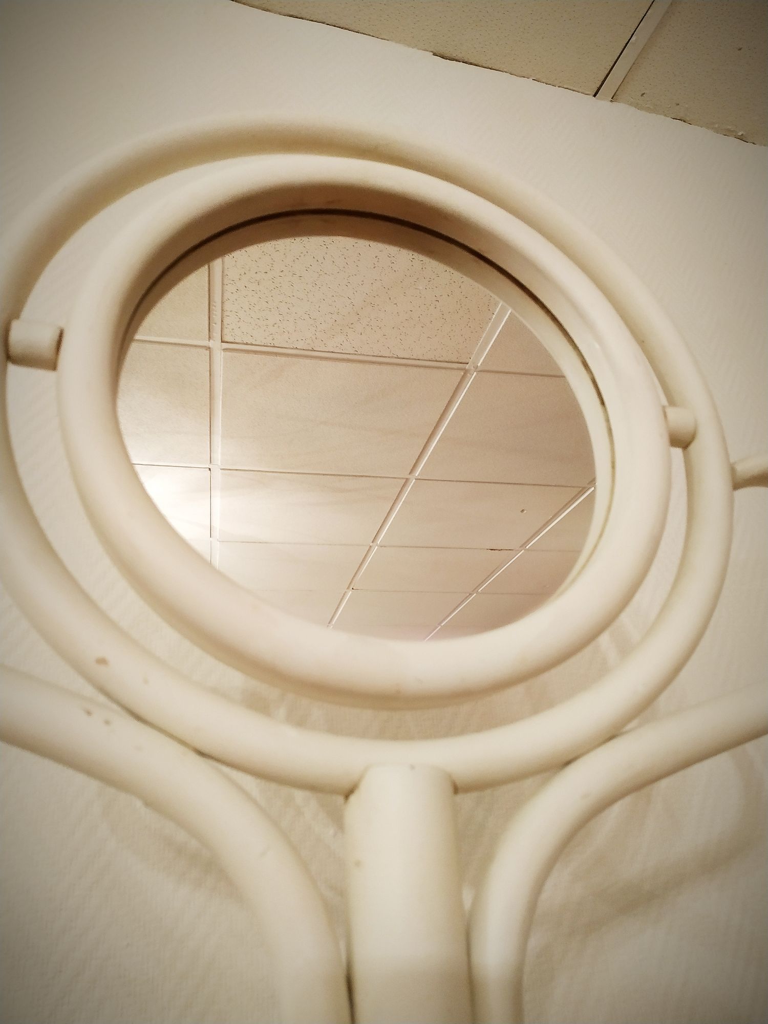 Psyche mirror parrot in curved wood