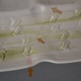 Lot of 4 Dish Minton Faience circa 1900 Asparagus Majolica