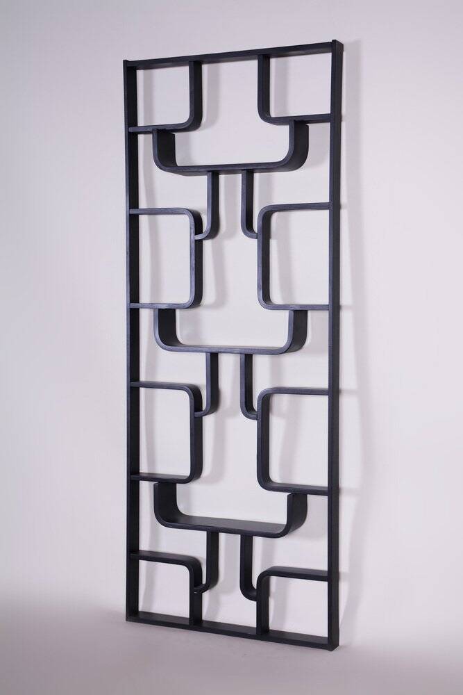 Mid-Century Room Divider Wall Unit by Ludvik Volak for Drevopodnik Holesov, 1960s