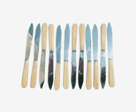 Coffret de 12 couteaux carl