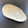 Vide poche coquillage en nacre
