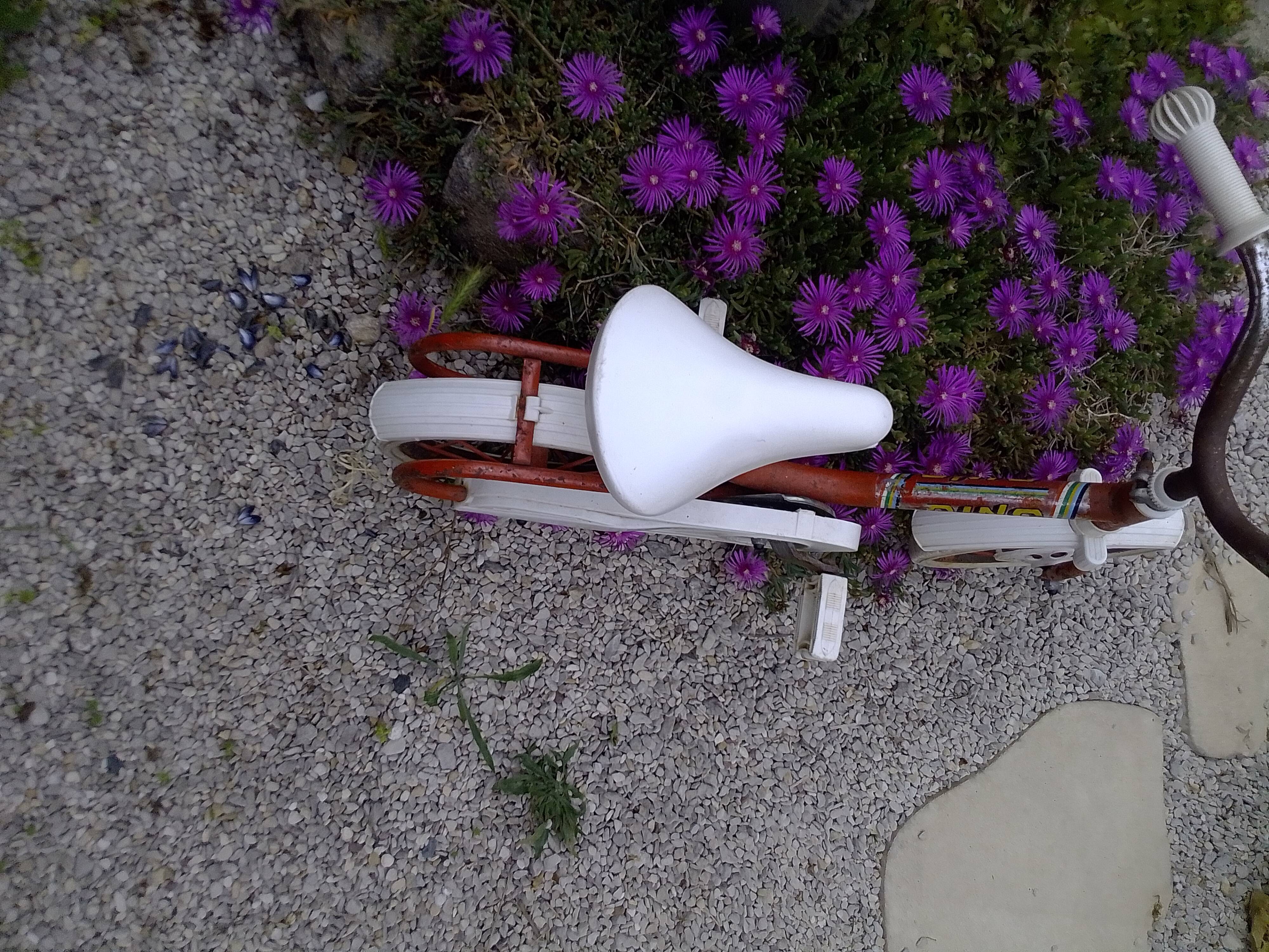 Vintage children's bike brand Dino