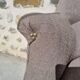 Renovated toad chair