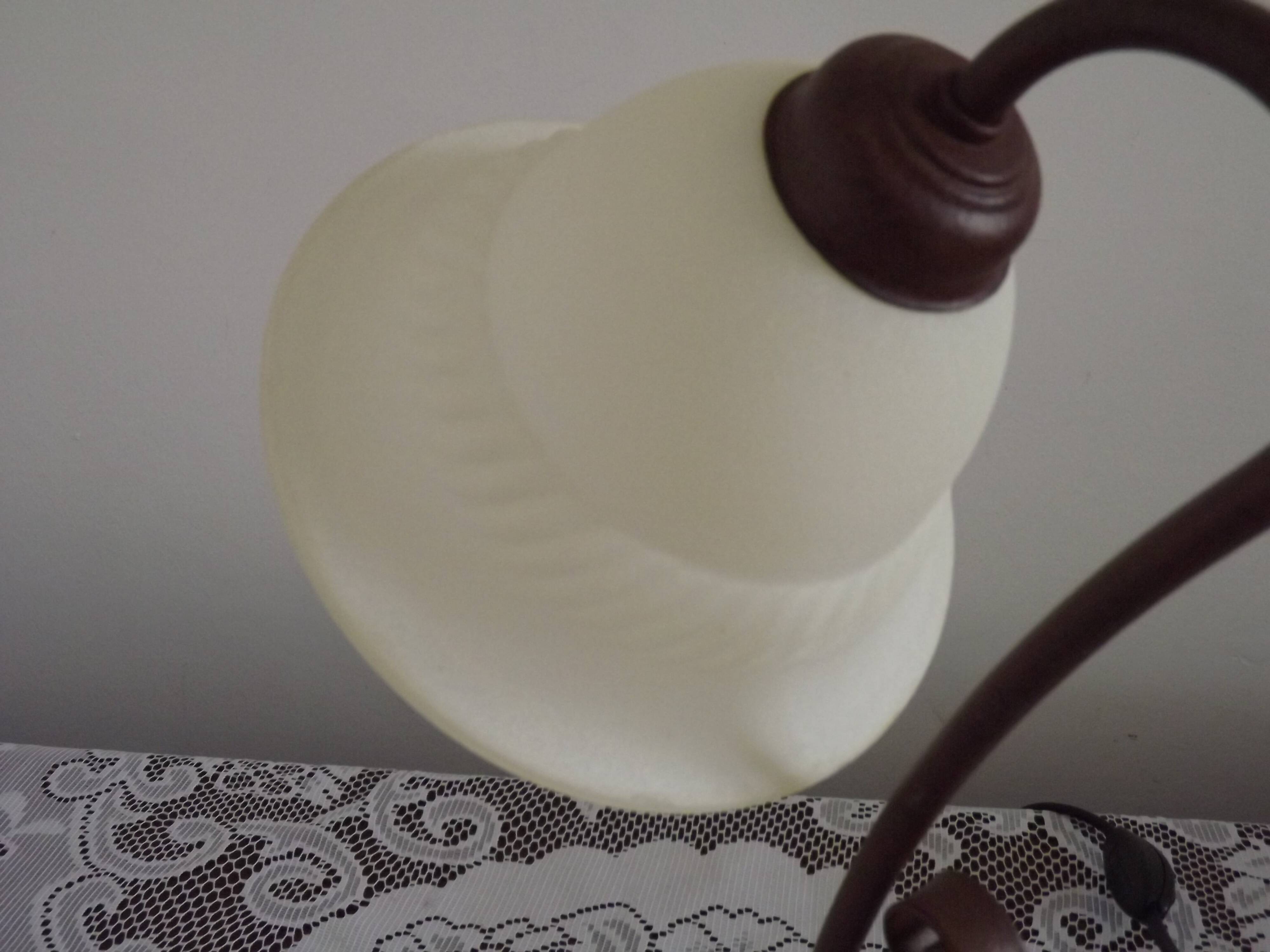 Vintage French Brown Metal Goose Neck Lamp With Textured Glass Shade