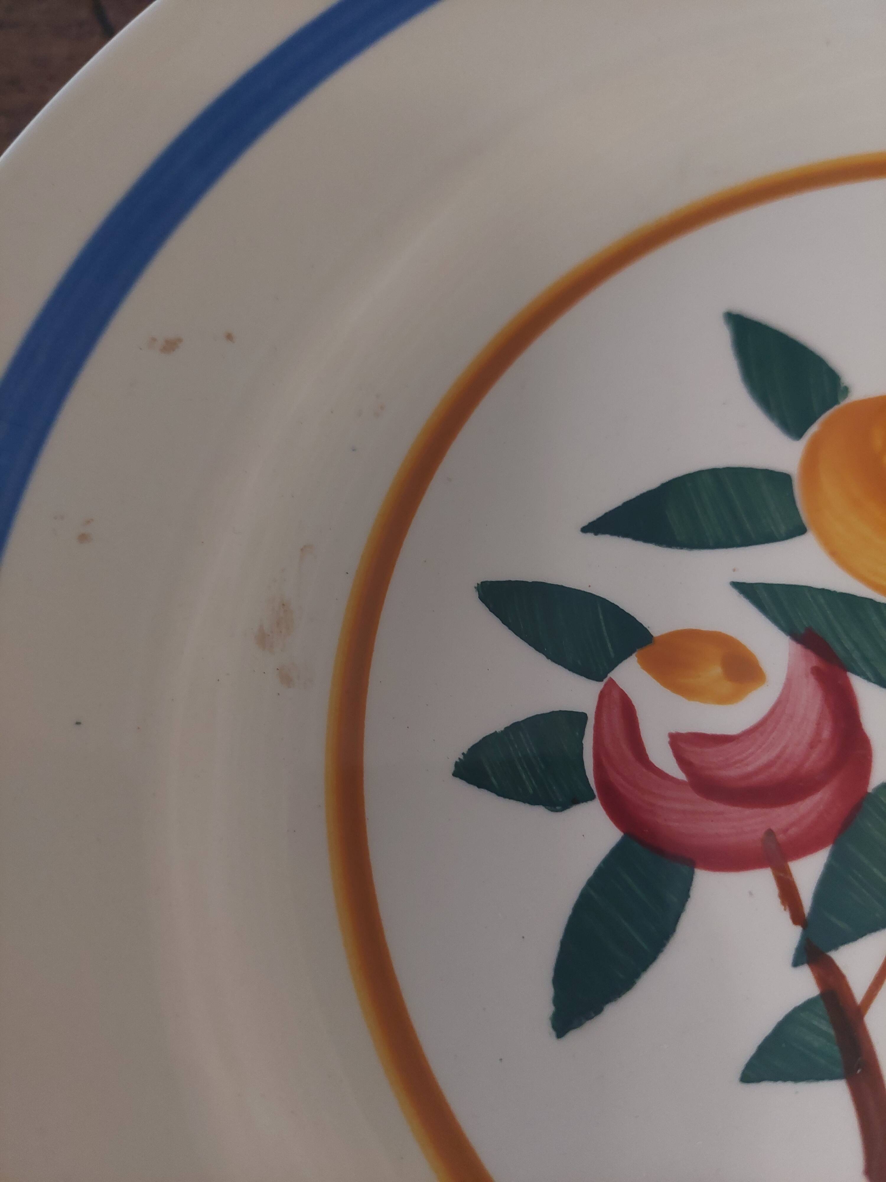 Pair of flat earthenware plates, ironstone, FD, Aunis decor