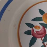 Pair of flat earthenware plates, ironstone, FD, Aunis decor