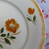 Set de 6 assiettes plates anciennes Badonviller  fleurs Oranges et vertes
