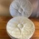 6 Pillivuyt oyster plates