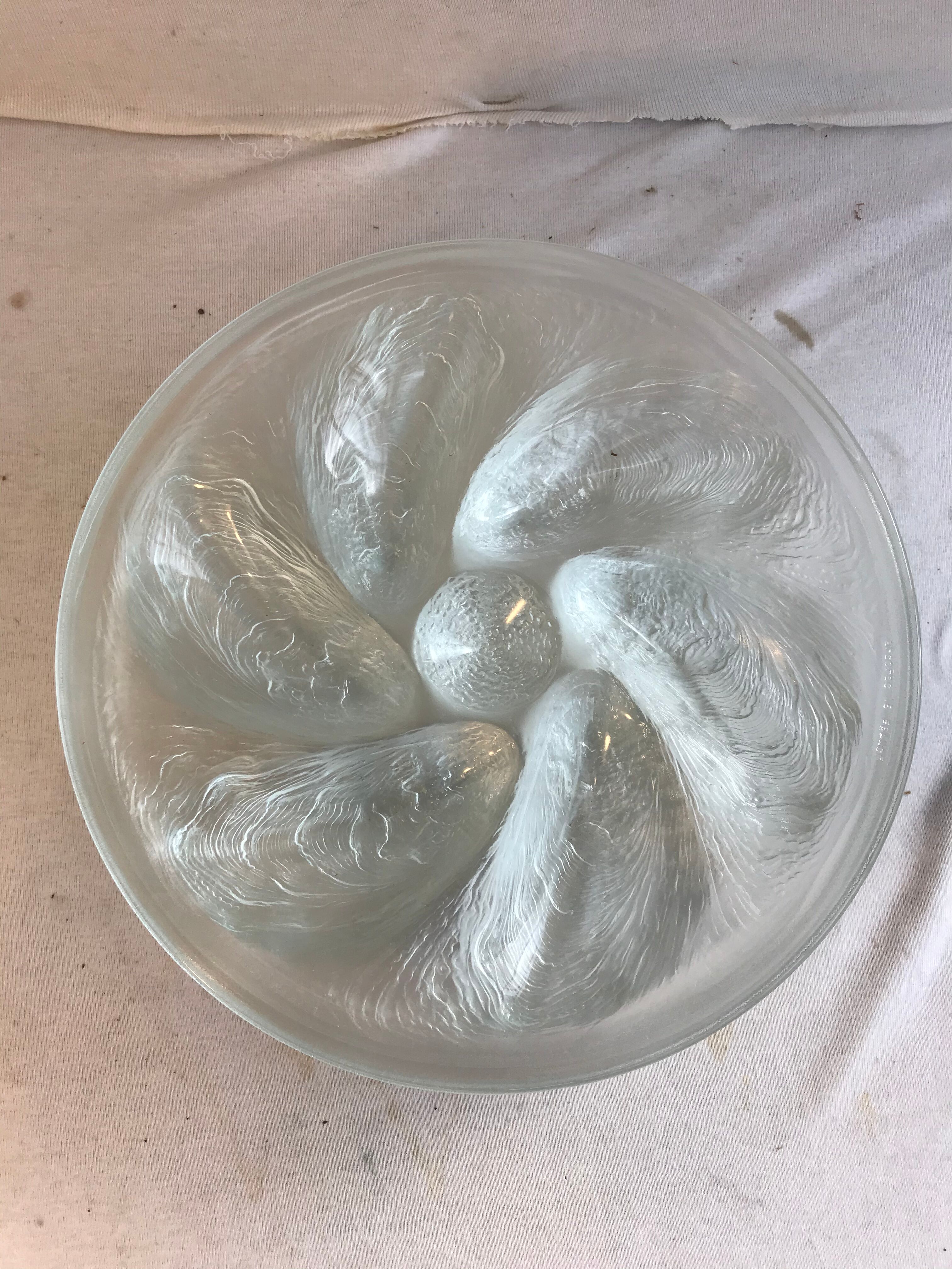 Series 6 old oyster plates Arcoroc moulded glass - vintage box