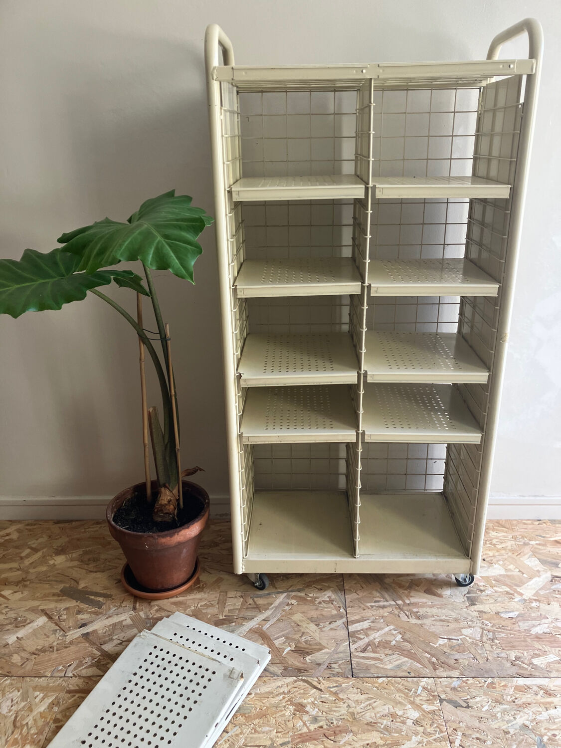 Shelf cabinet postal sorting