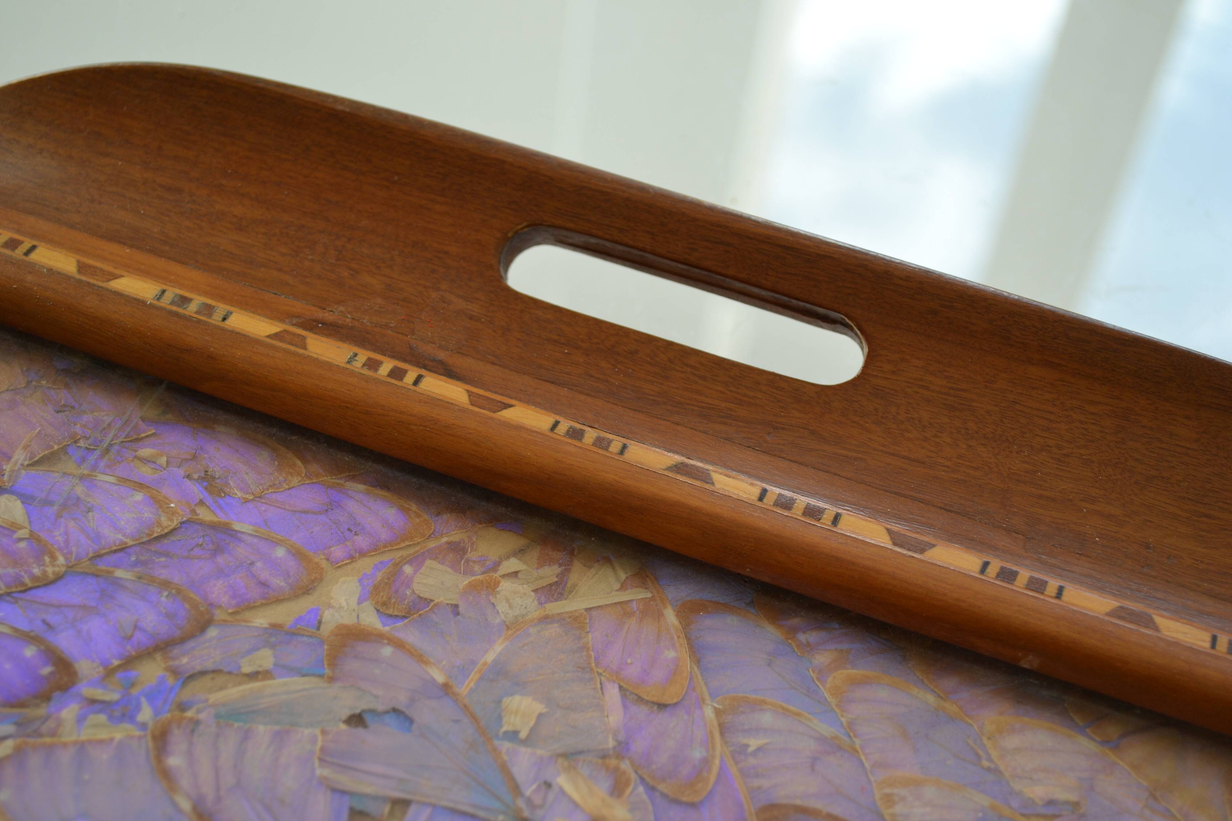 Plateau butterfly wings under glass exotic wood and marquetry Brazil