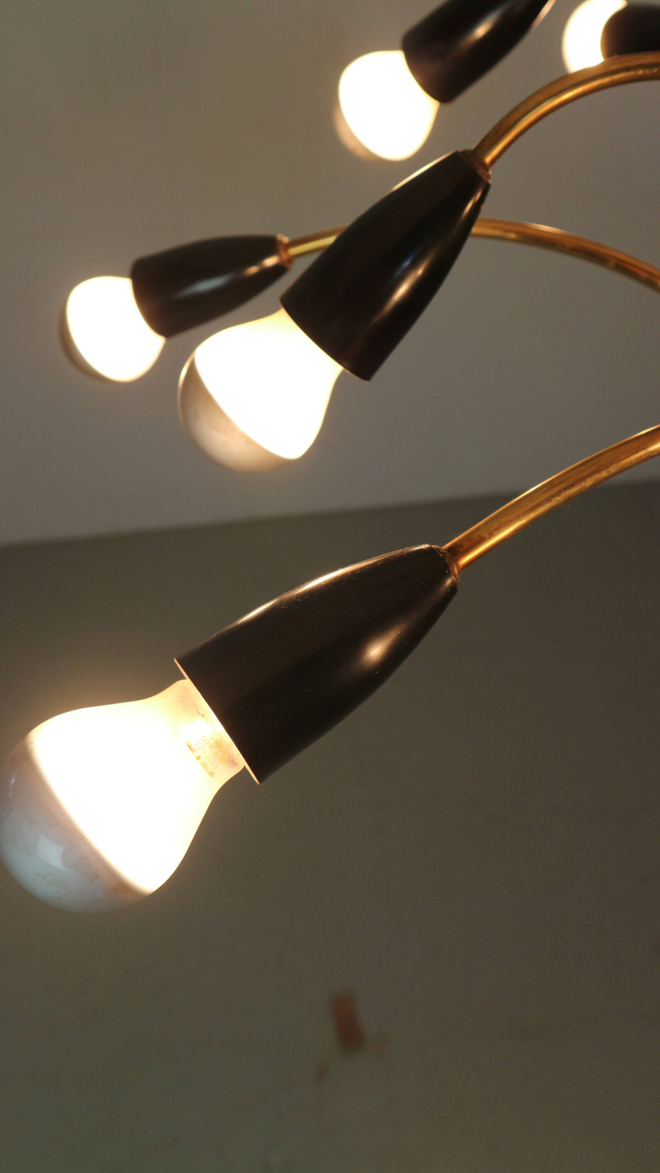Italian Black and brass 12 arm Spider Chandelier  1950s