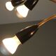 Italian Black and brass 12 arm Spider Chandelier  1950s