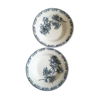 Old plates "Flora" iron Earth