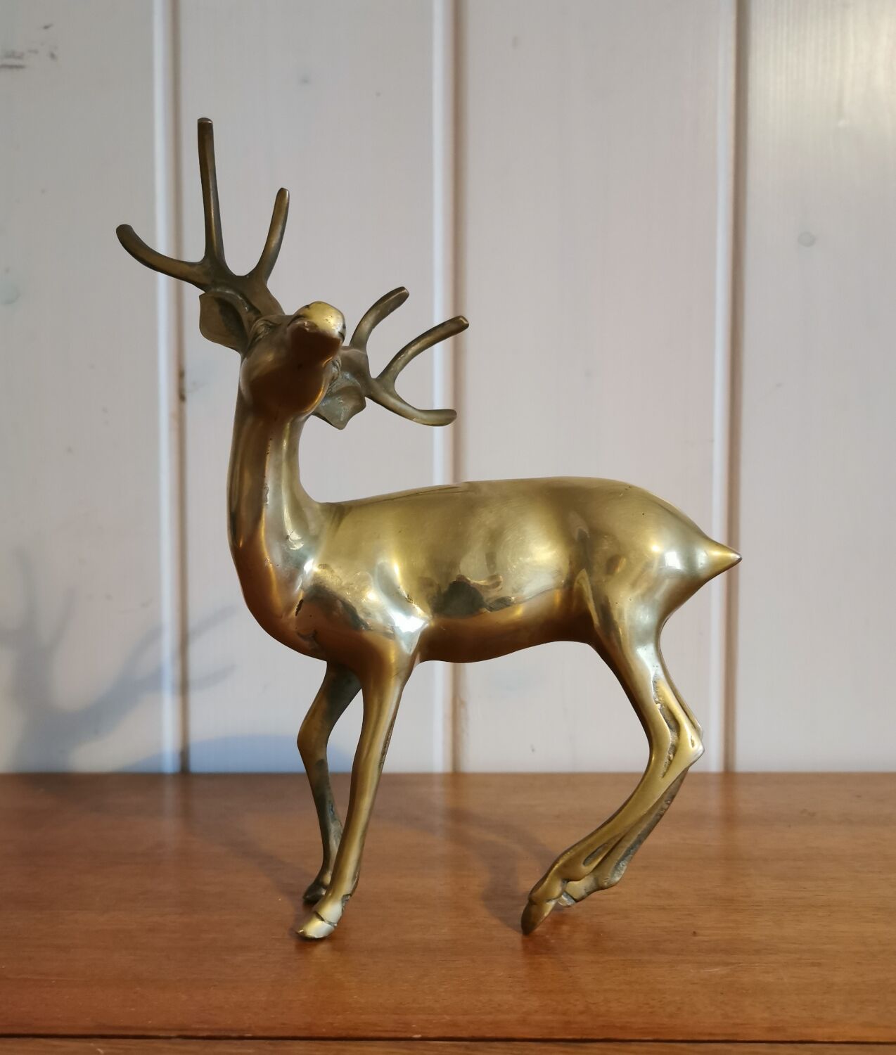 Young golden brass deer