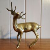 Young golden brass deer