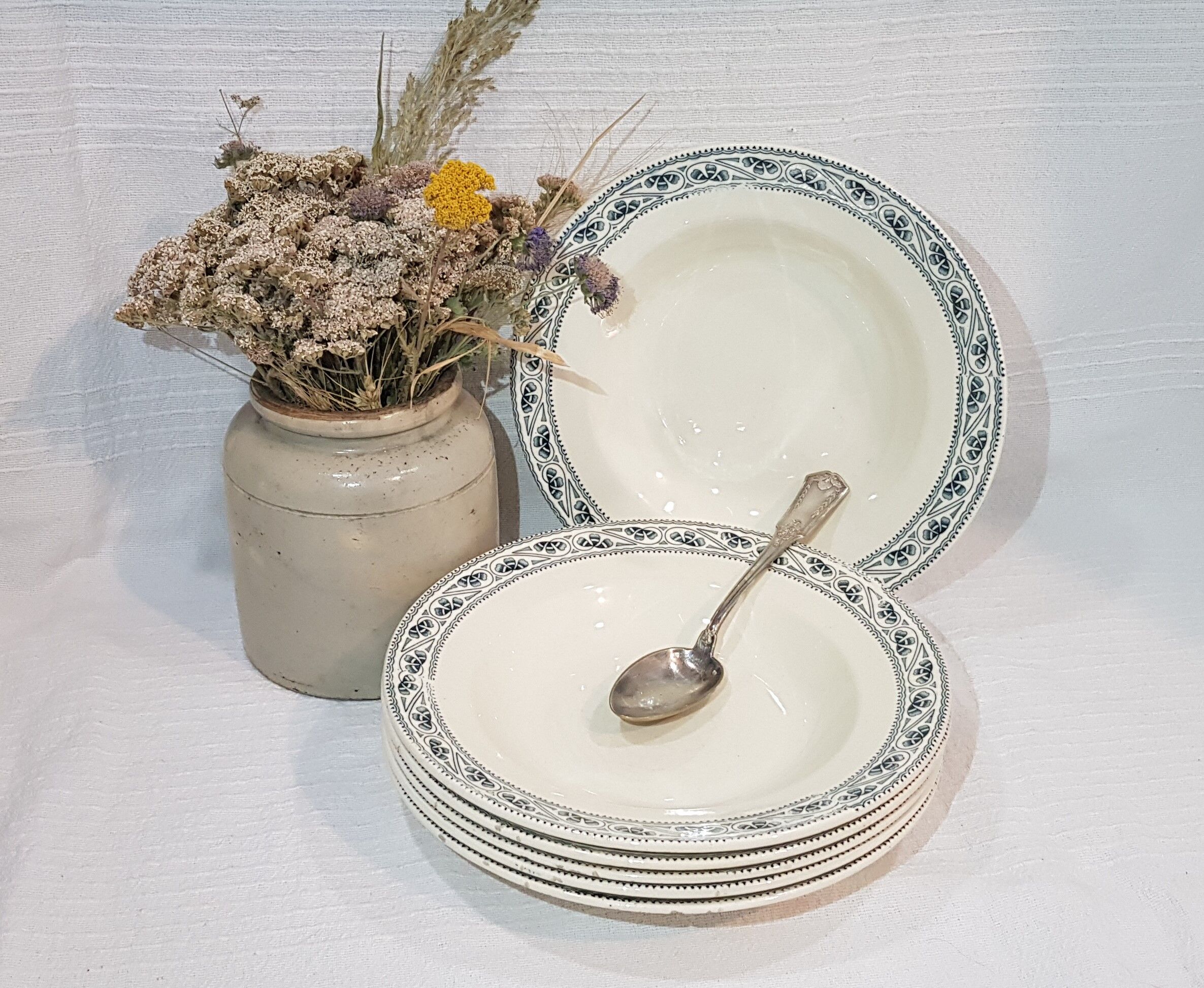 6 tablespoons in earthenware from Choisy the Champigny model King, iron earth