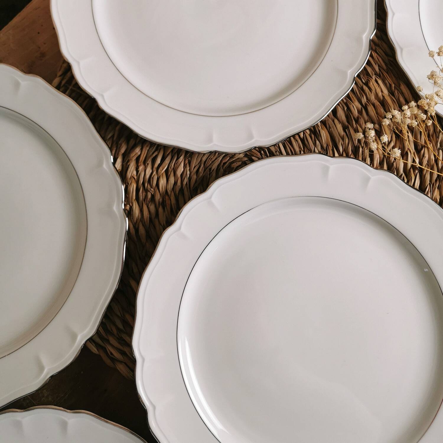 6 Limoges porcelain dinner plates