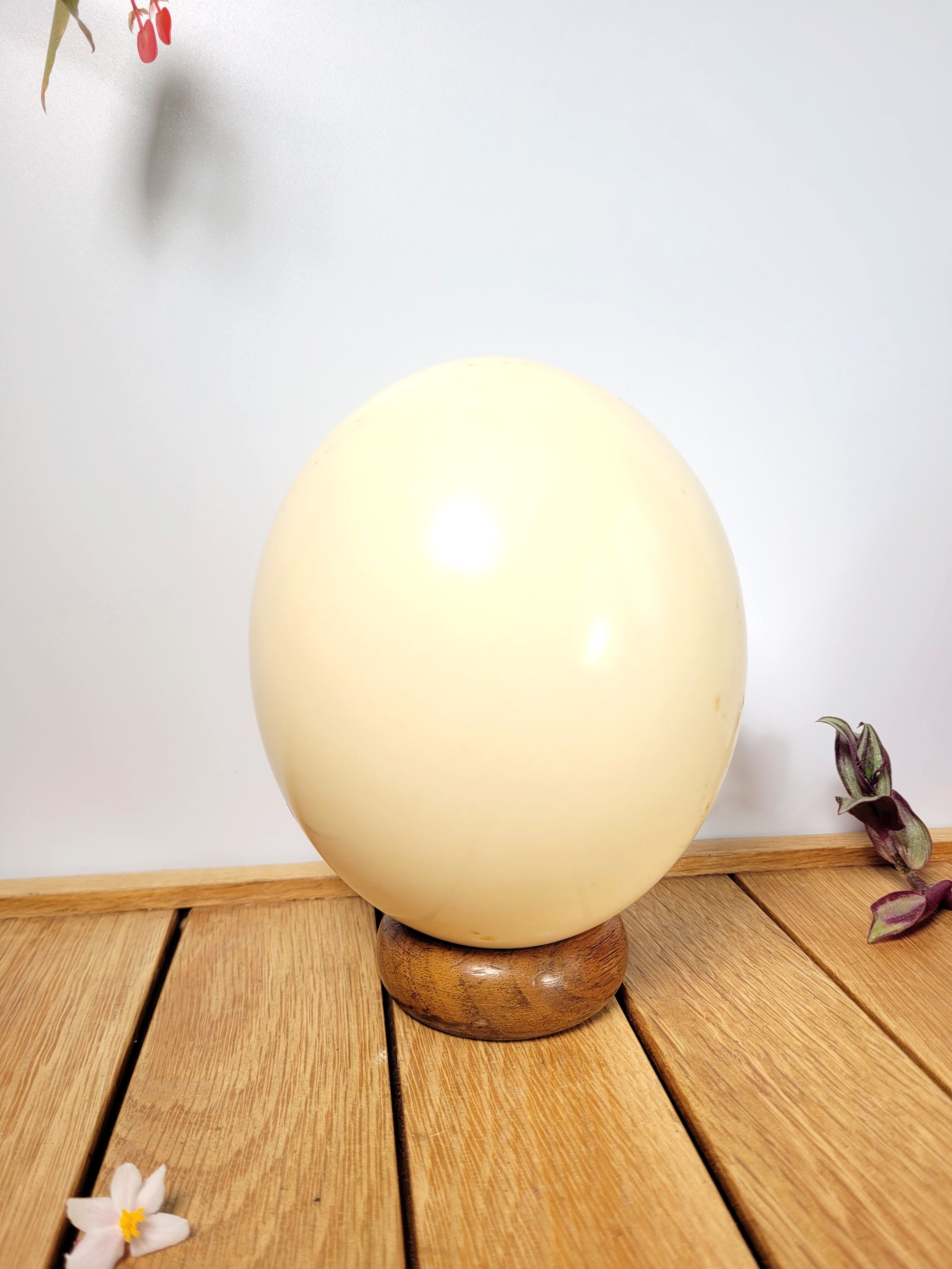 Ostrich egg on wooden base