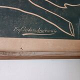 Antique print of a liberty plate by Prof. Andreani Isidoro - botanical plants, early 1900s