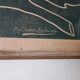 Impression ancienne planche liberty prof. Andreani Isidoro - plantes botanique début 1900