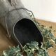 Old coal bucket, zinc