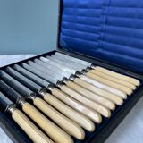 Box of 12 table knives XIXth Napoleon III