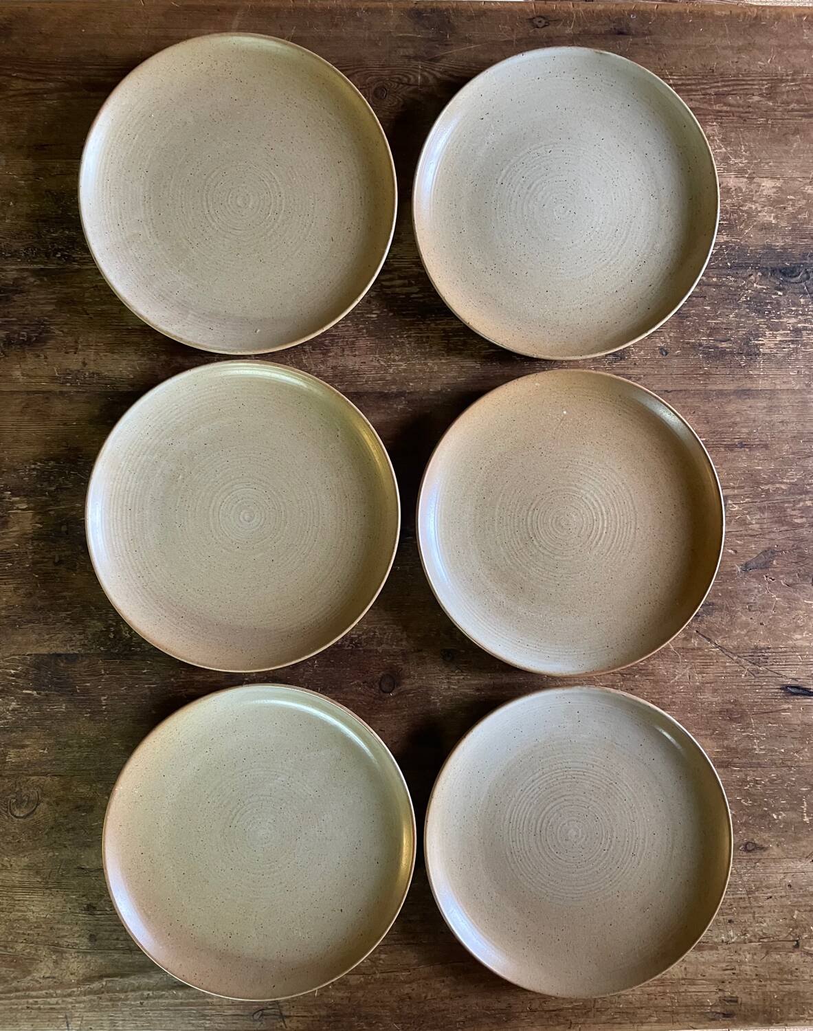 Assiettes plates en grès CNP