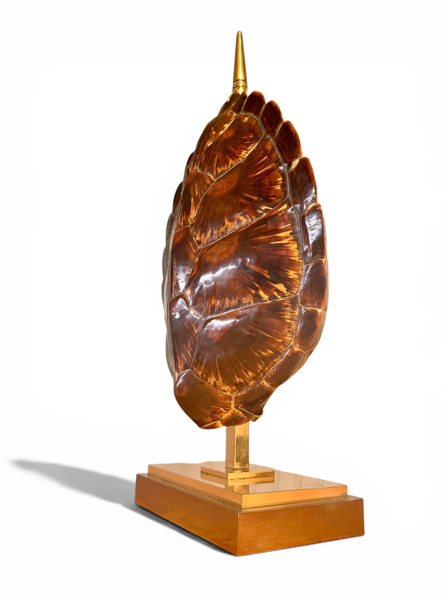 Turtle Lamp Maison Jansen - Genuine Shell & Brass (Circa 1970)