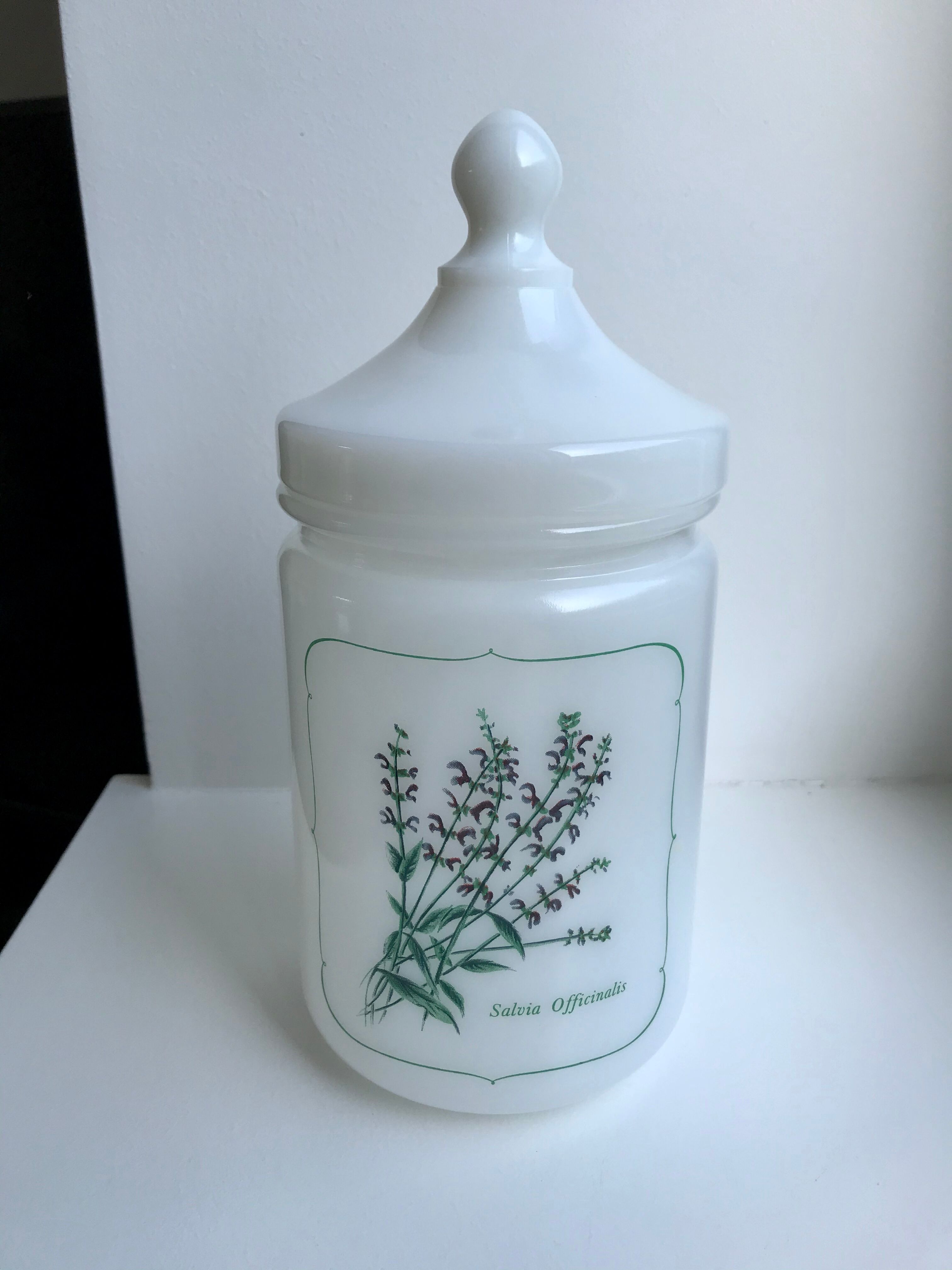 Old pharmacy jar Salvia Officinalis