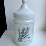 Old pharmacy jar Salvia Officinalis