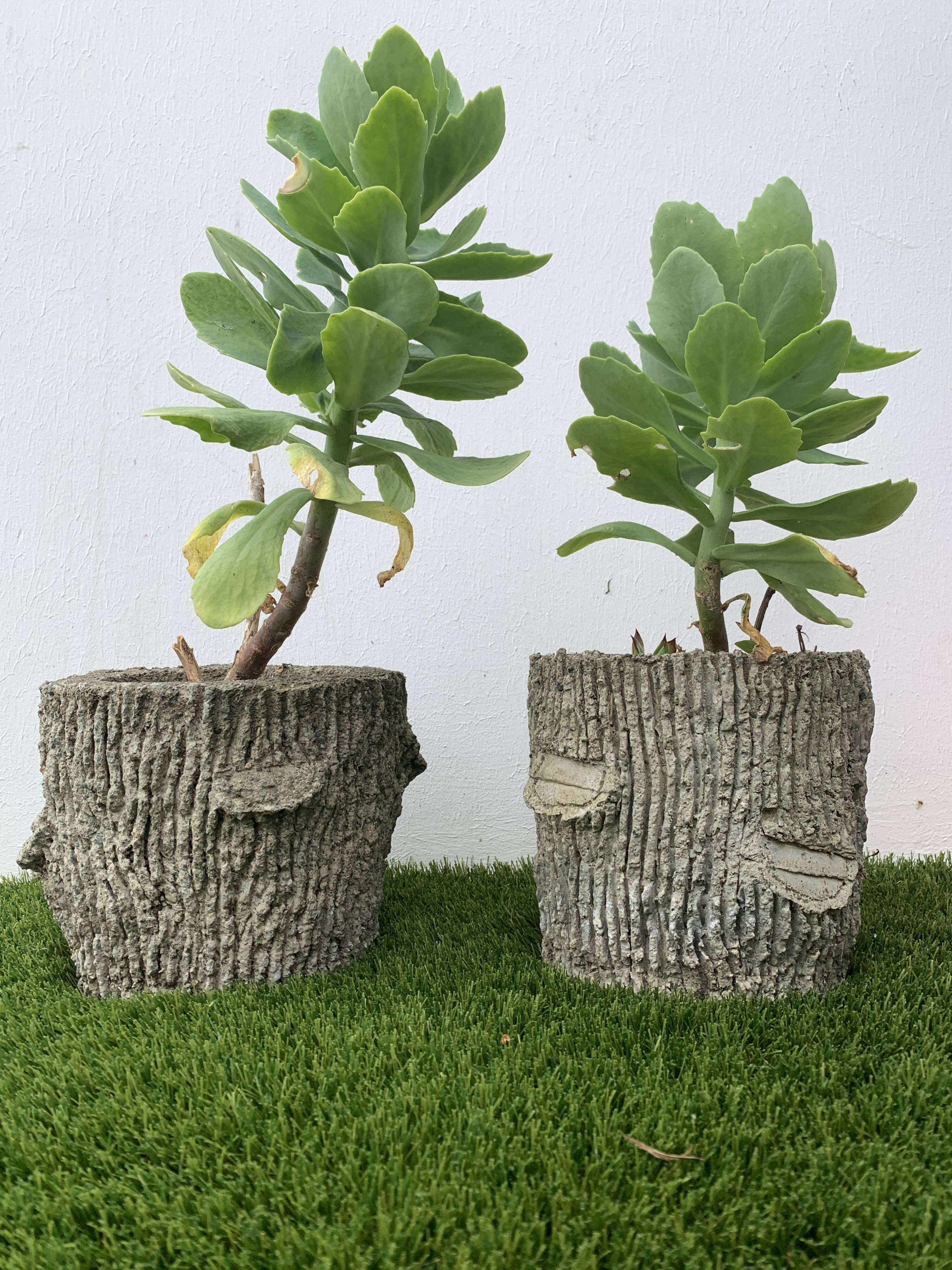 Two cement planters imitation tree trunks